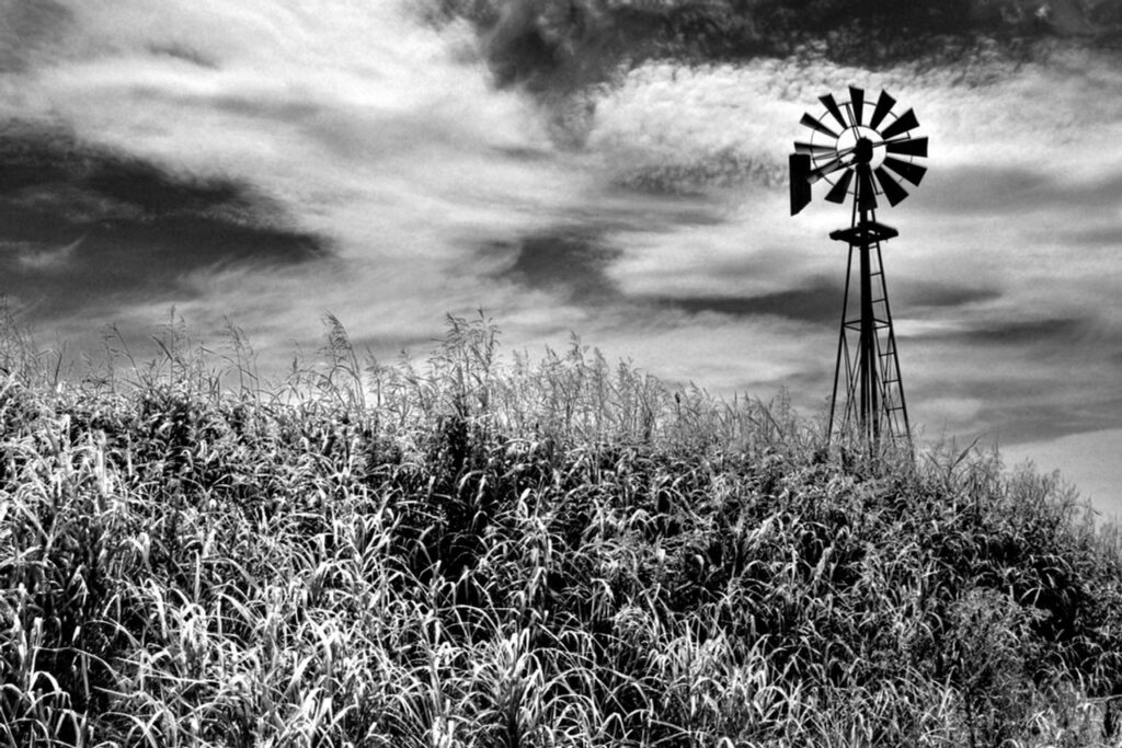 Timeless Monochrome Art: Simplicity, Depth, and Enduring Power